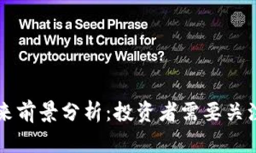 虚拟币的未来前景分析：投资者需要关注的关键因素