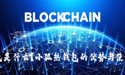 热钱包是什么？小狐热钱包的优势与使用指南