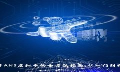 投资ANS虚拟币的全方位指