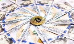 深入了解RXM虚拟币：投资