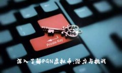 深入了解PGN虚拟币：潜力与挑战