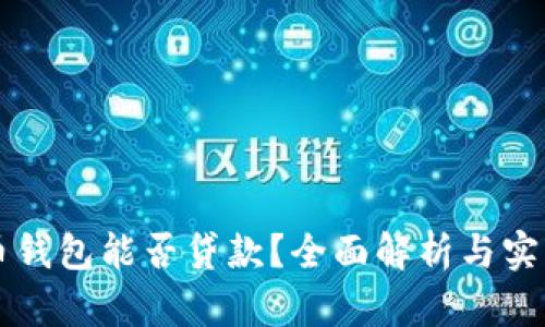 虚拟币钱包能否贷款?全面解析与实用指南
