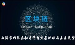 上海市网络虚拟币平台发展现状与未来展望