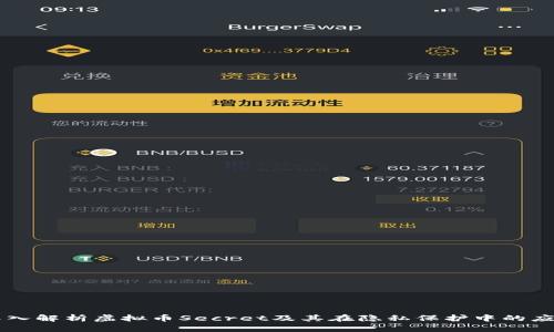 深入解析虚拟币Secret及其在隐私保护中的应用