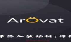 如何在小狐钱包中添加波场链：详细步骤与注意