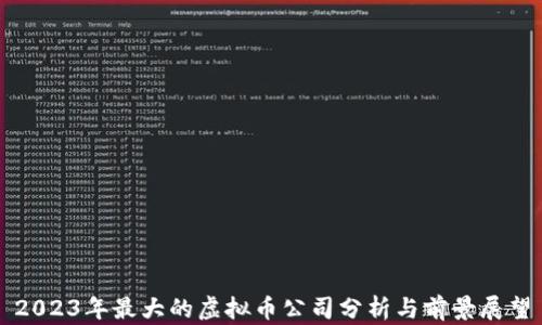 
2023年最大的虚拟币公司分析与前景展望