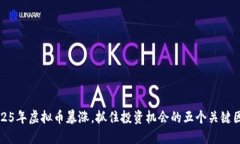 2025年虚拟币暴涨，抓住投