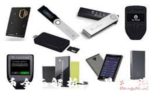 
2023年BDS虚拟币全面解析：前景、投资价值与市场动向